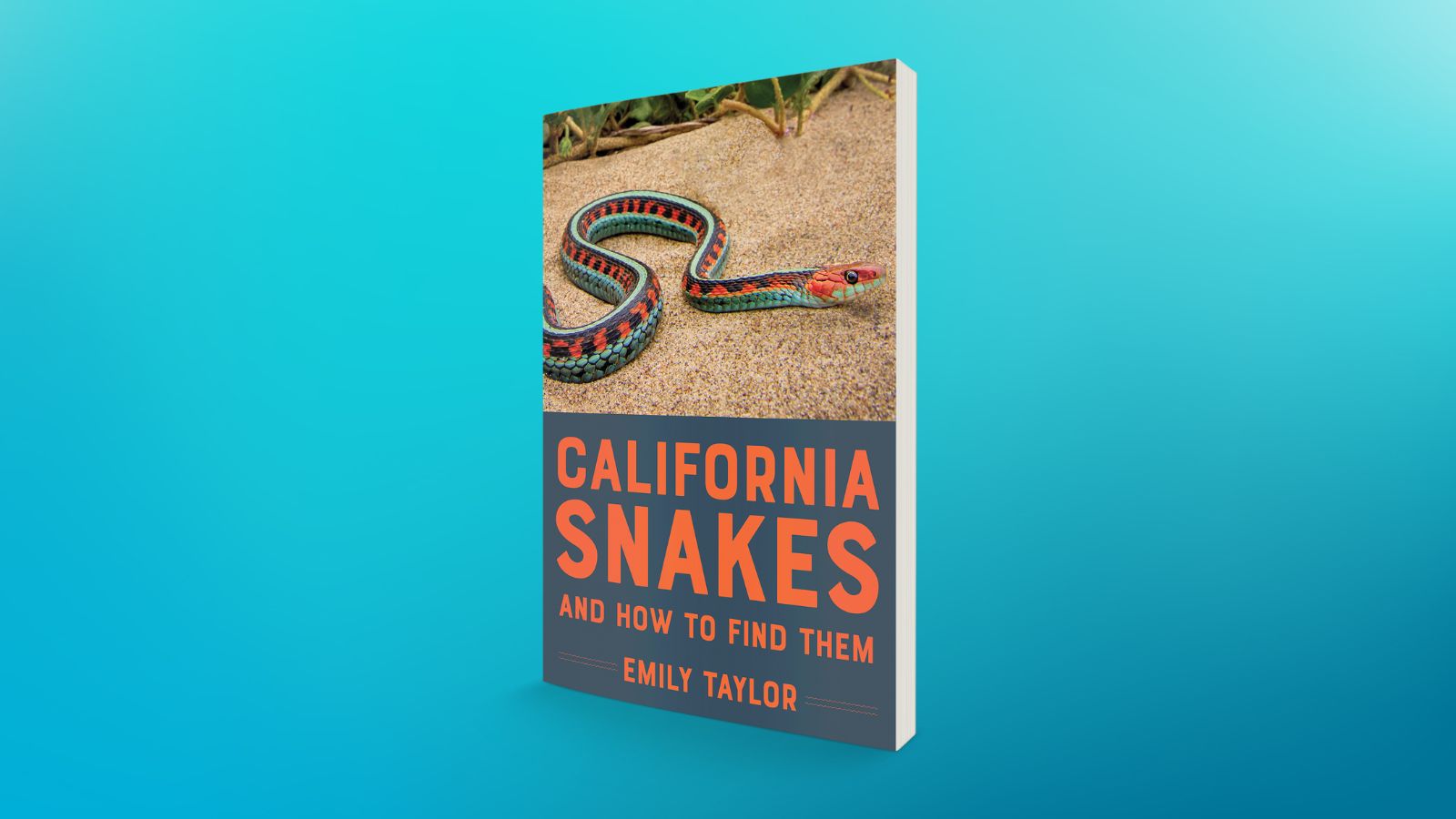Debuts May 2024 — California Snakes and How to Find Them Heyday