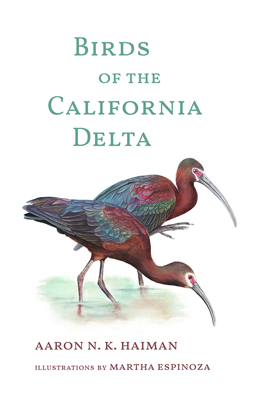 Birds of the California Delta